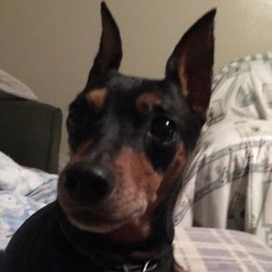 Meet your Posher, Christine